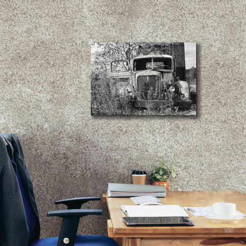 Image of 'Don't Leave Me Hanging' by Lori Deiter, Canvas Wall Art,26 x 18