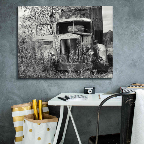 Image of 'Don't Leave Me Hanging' by Lori Deiter, Canvas Wall Art,34 x 26