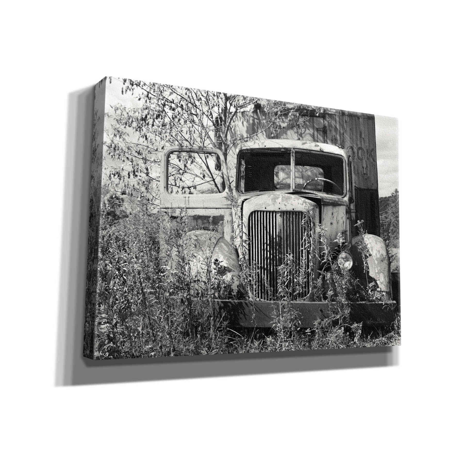 'Don't Leave Me Hanging' by Lori Deiter, Canvas Wall Art