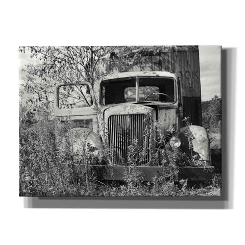 Image of 'Don't Leave Me Hanging' by Lori Deiter, Canvas Wall Art
