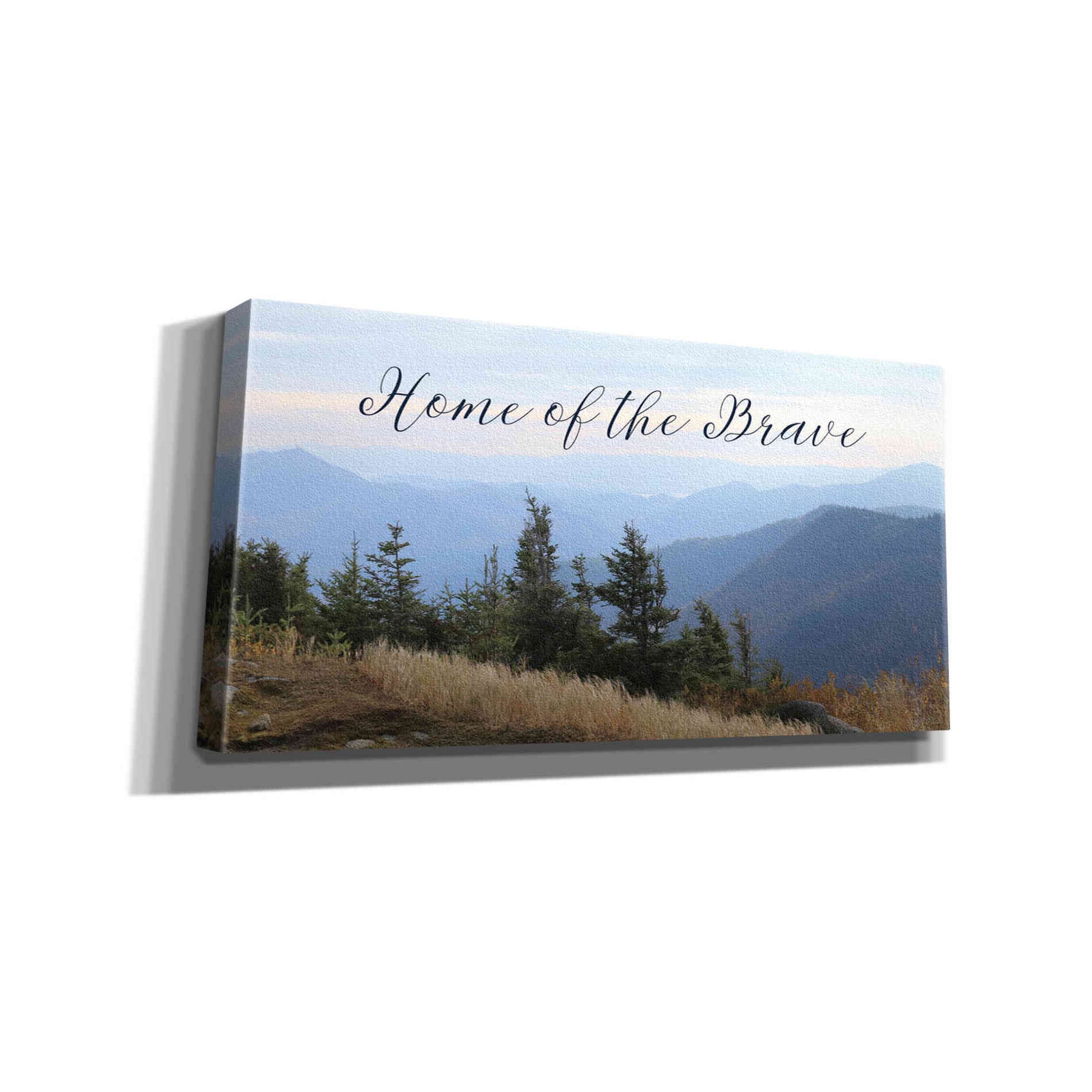 'Home of the Brave' by Lori Deiter, Canvas Wall Art