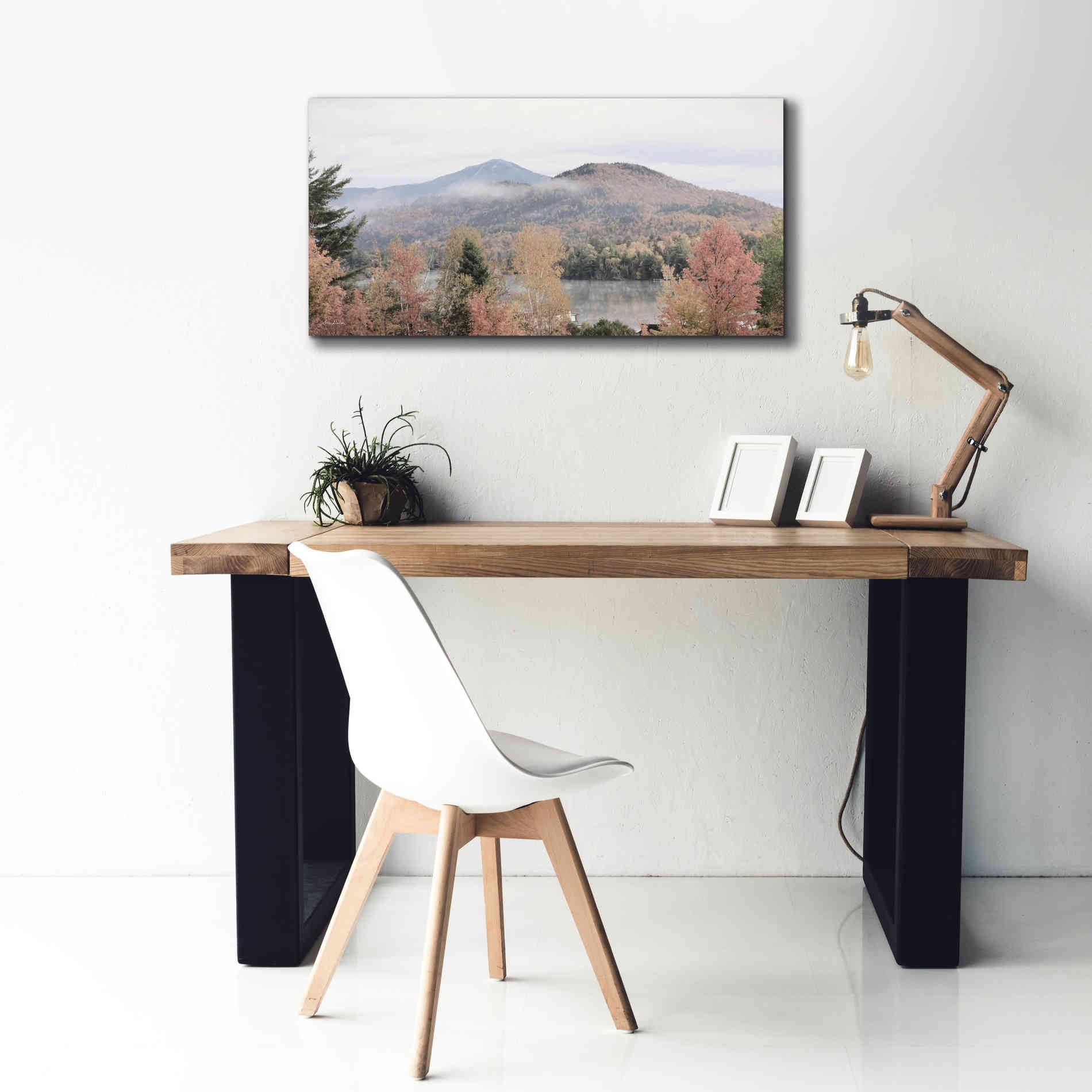 'Whiteface Mountain' by Lori Deiter, Canvas Wall Art,40 x 20