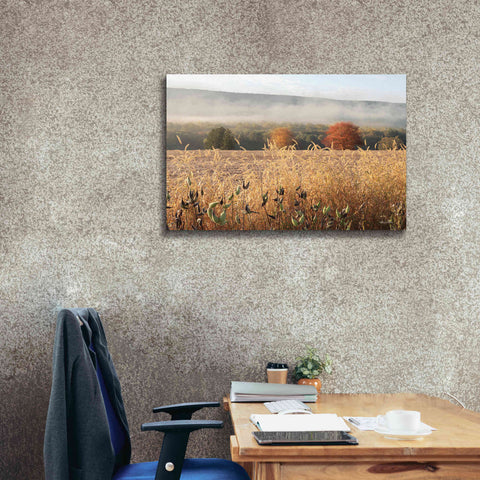 Image of 'Autumn Shades' by Lori Deiter, Canvas Wall Art,40 x 26