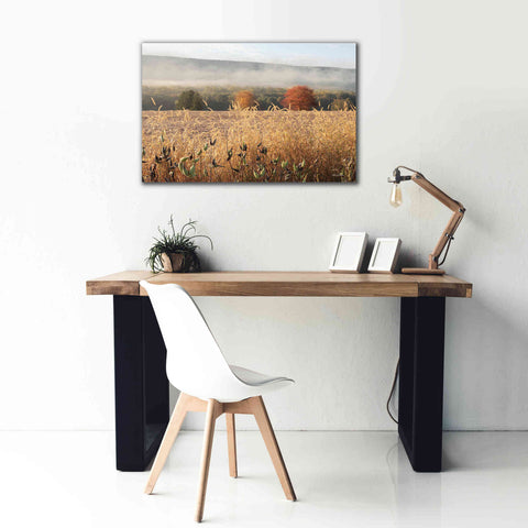 Image of 'Autumn Shades' by Lori Deiter, Canvas Wall Art,40 x 26