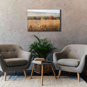 'Autumn Shades' by Lori Deiter, Canvas Wall Art,40 x 26