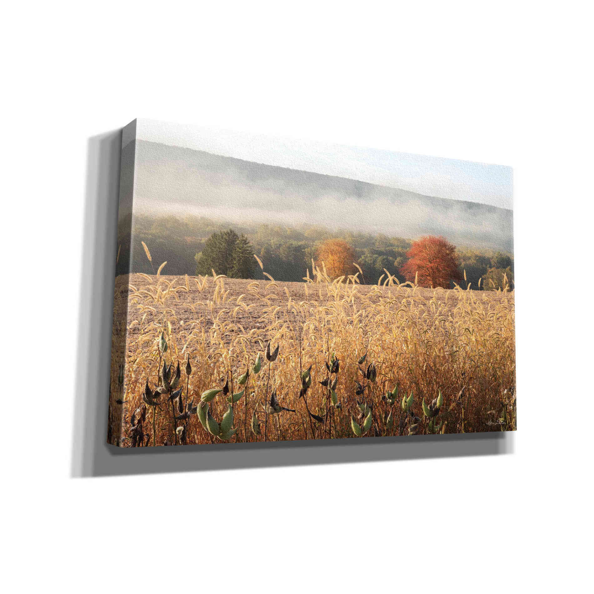 'Autumn Shades' by Lori Deiter, Canvas Wall Art