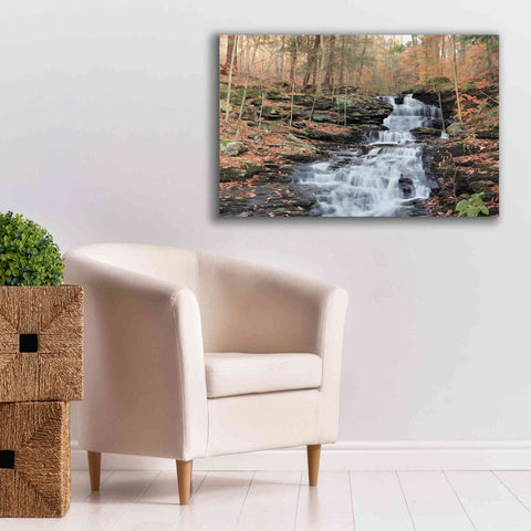 Image of 'Waterfall Steps at Pigeon Run' by Lori Deiter, Canvas Wall Art,40 x 26