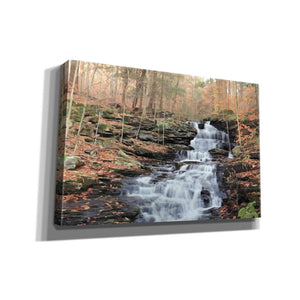 'Waterfall Steps at Pigeon Run' by Lori Deiter, Canvas Wall Art