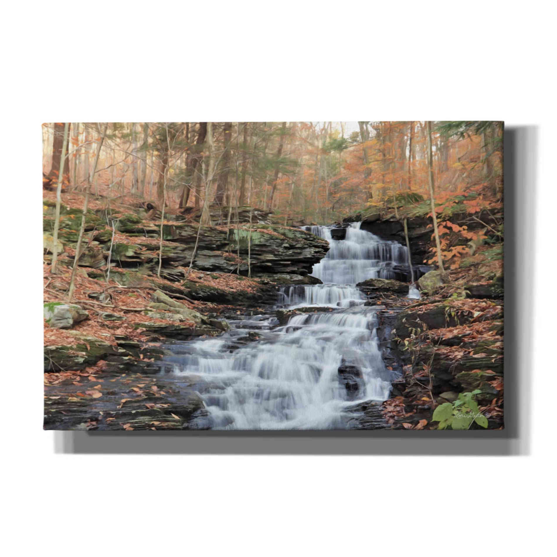 'Waterfall Steps at Pigeon Run' by Lori Deiter, Canvas Wall Art