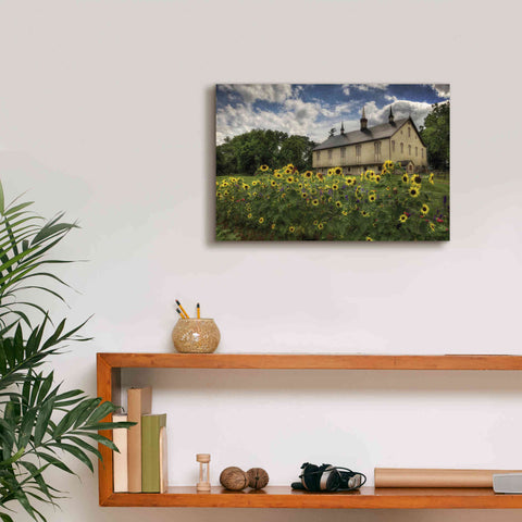 Image of 'Sunflower Garden' by Lori Deiter, Canvas Wall Art,18 x 12