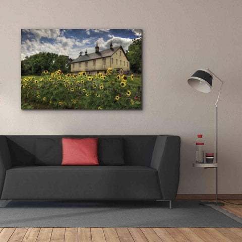Image of 'Sunflower Garden' by Lori Deiter, Canvas Wall Art,60 x 40