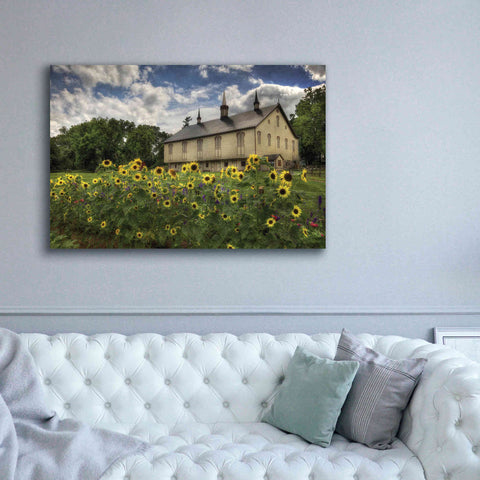 Image of 'Sunflower Garden' by Lori Deiter, Canvas Wall Art,60 x 40