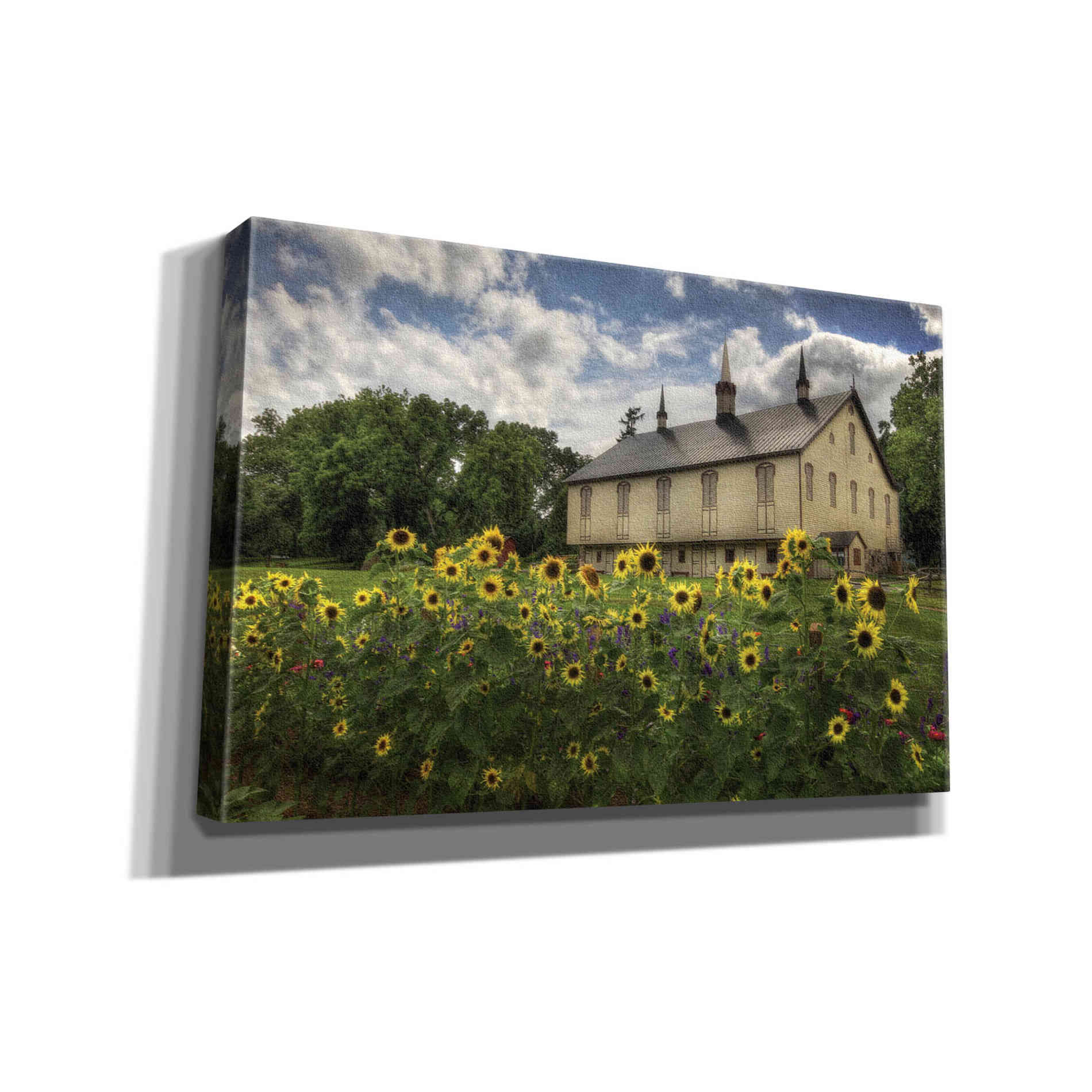 'Sunflower Garden' by Lori Deiter, Canvas Wall Art