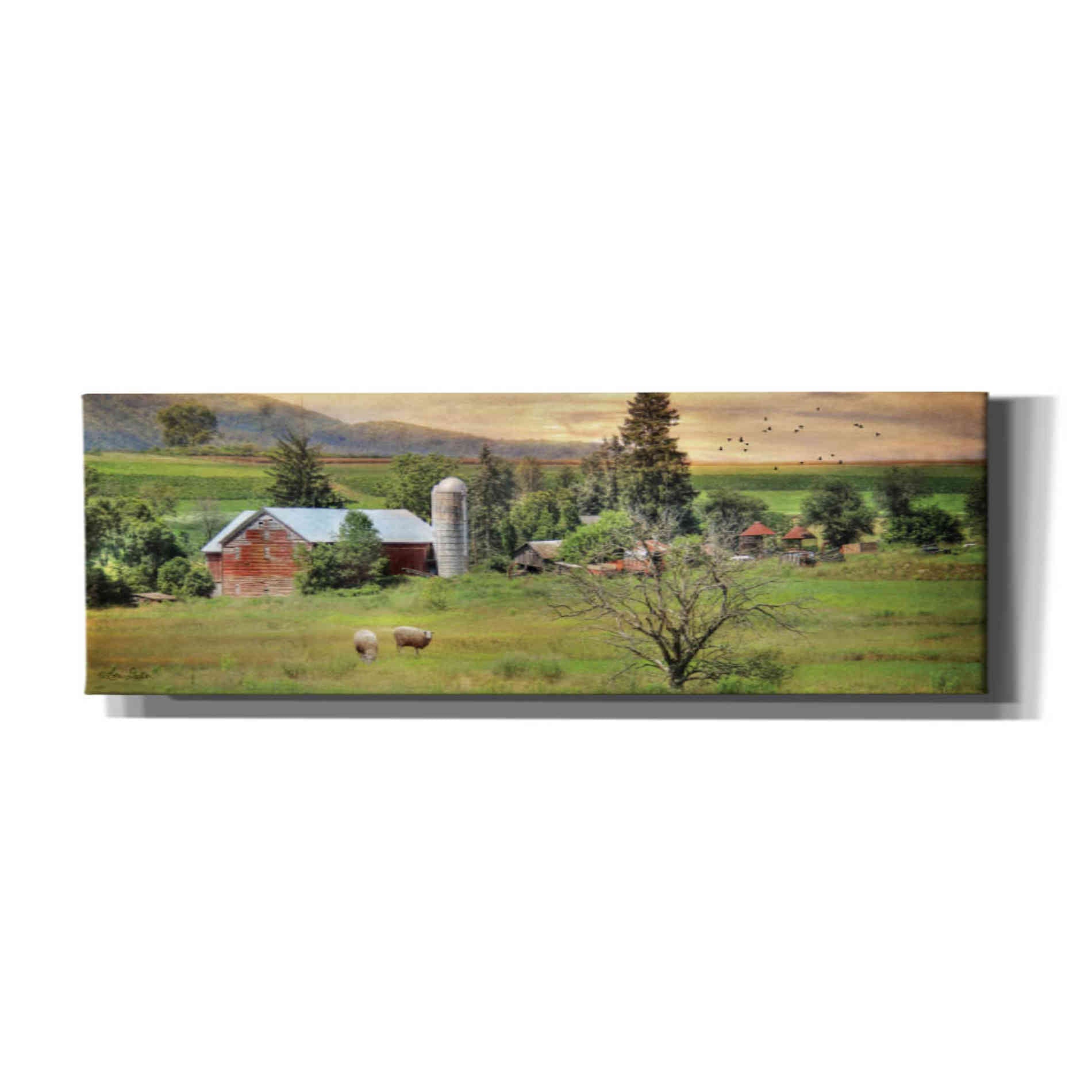 'Grazing Sheet' by Lori Deiter, Canvas Wall Art