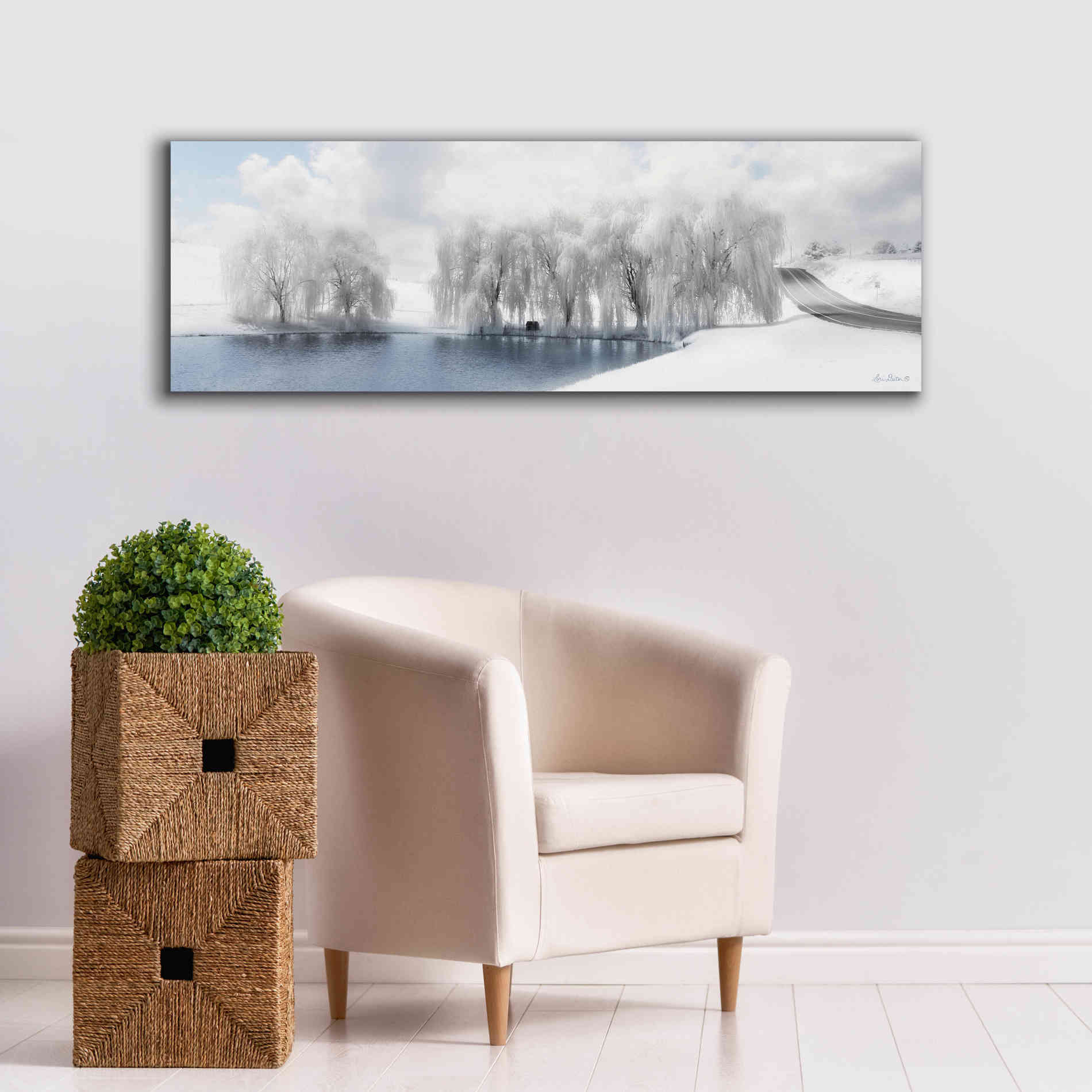 'Winter Willow' by Lori Deiter, Canvas Wall Art,60 x 20