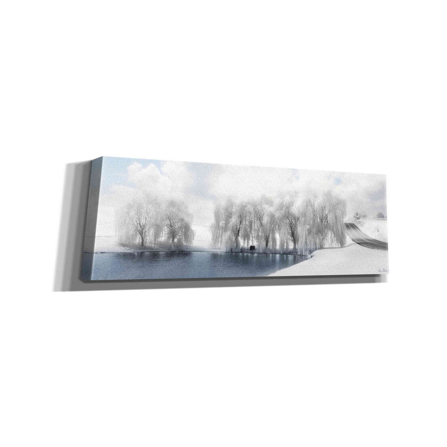 'Winter Willow' by Lori Deiter, Canvas Wall Art