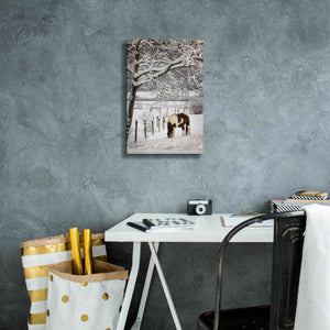 'Paint in the Snow' by Lori Deiter, Canvas Wall Art,12 x 18