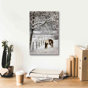 'Paint in the Snow' by Lori Deiter, Canvas Wall Art,12 x 18