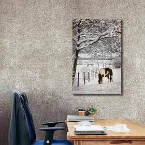 'Paint in the Snow' by Lori Deiter, Canvas Wall Art,26 x 40