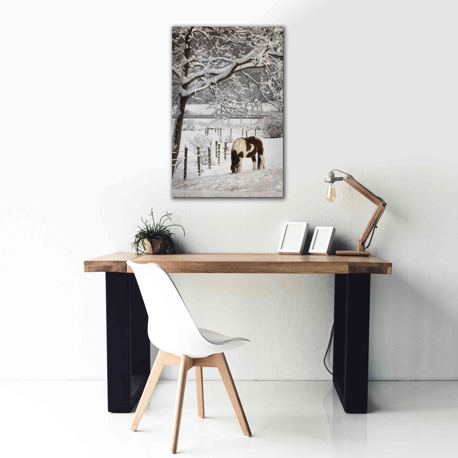 'Paint in the Snow' by Lori Deiter, Canvas Wall Art,26 x 40