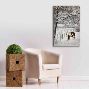 'Paint in the Snow' by Lori Deiter, Canvas Wall Art,26 x 40
