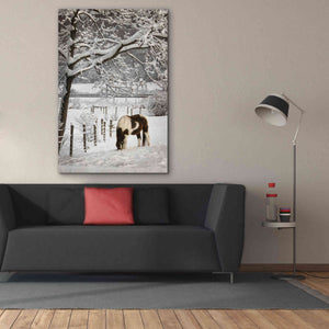 'Paint in the Snow' by Lori Deiter, Canvas Wall Art,40 x 60