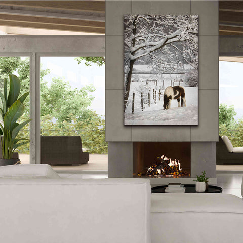 Image of 'Paint in the Snow' by Lori Deiter, Canvas Wall Art,40 x 60