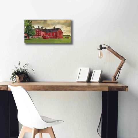 Image of 'Aging Gracefully' by Lori Deiter, Canvas Wall Art,24 x 12