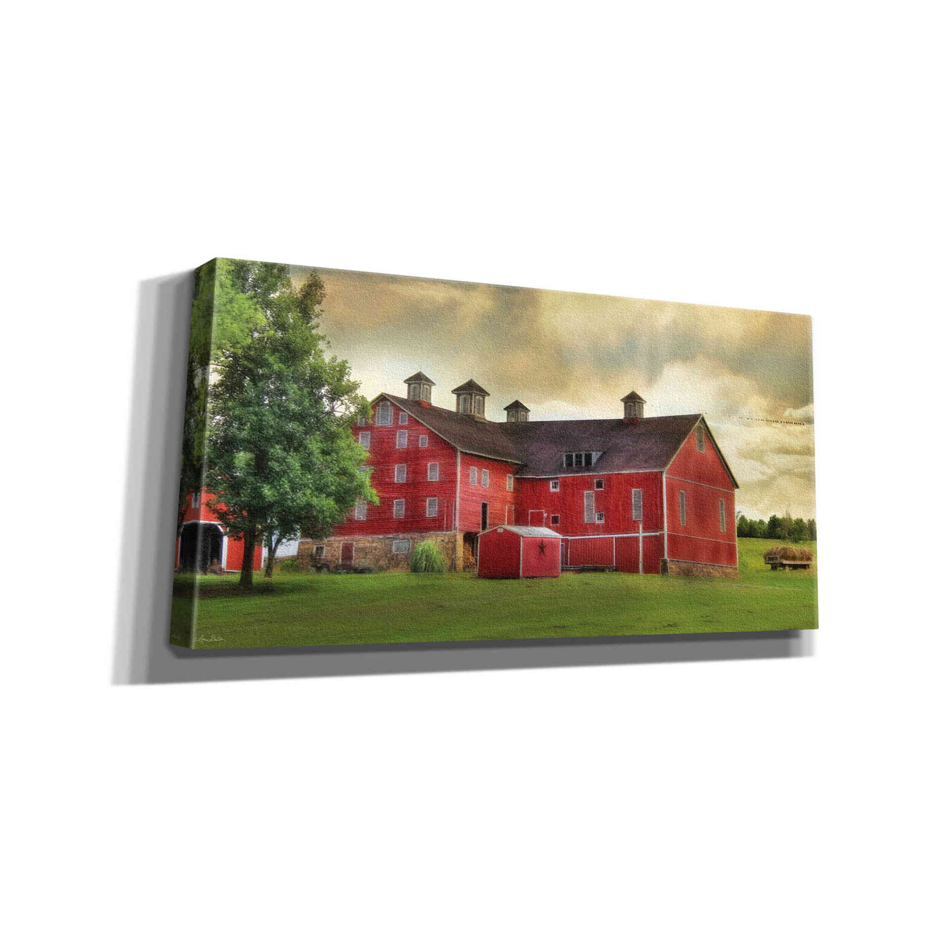 'Aging Gracefully' by Lori Deiter, Canvas Wall Art