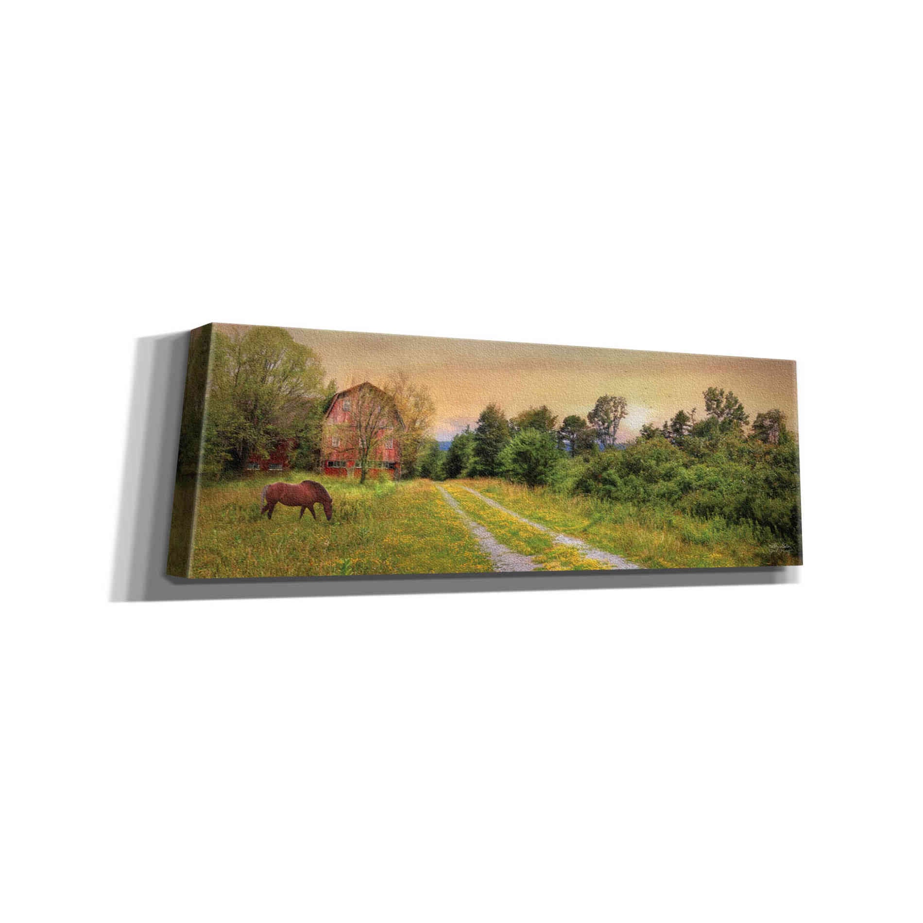 'Good Grazing' by Lori Deiter, Canvas Wall Art