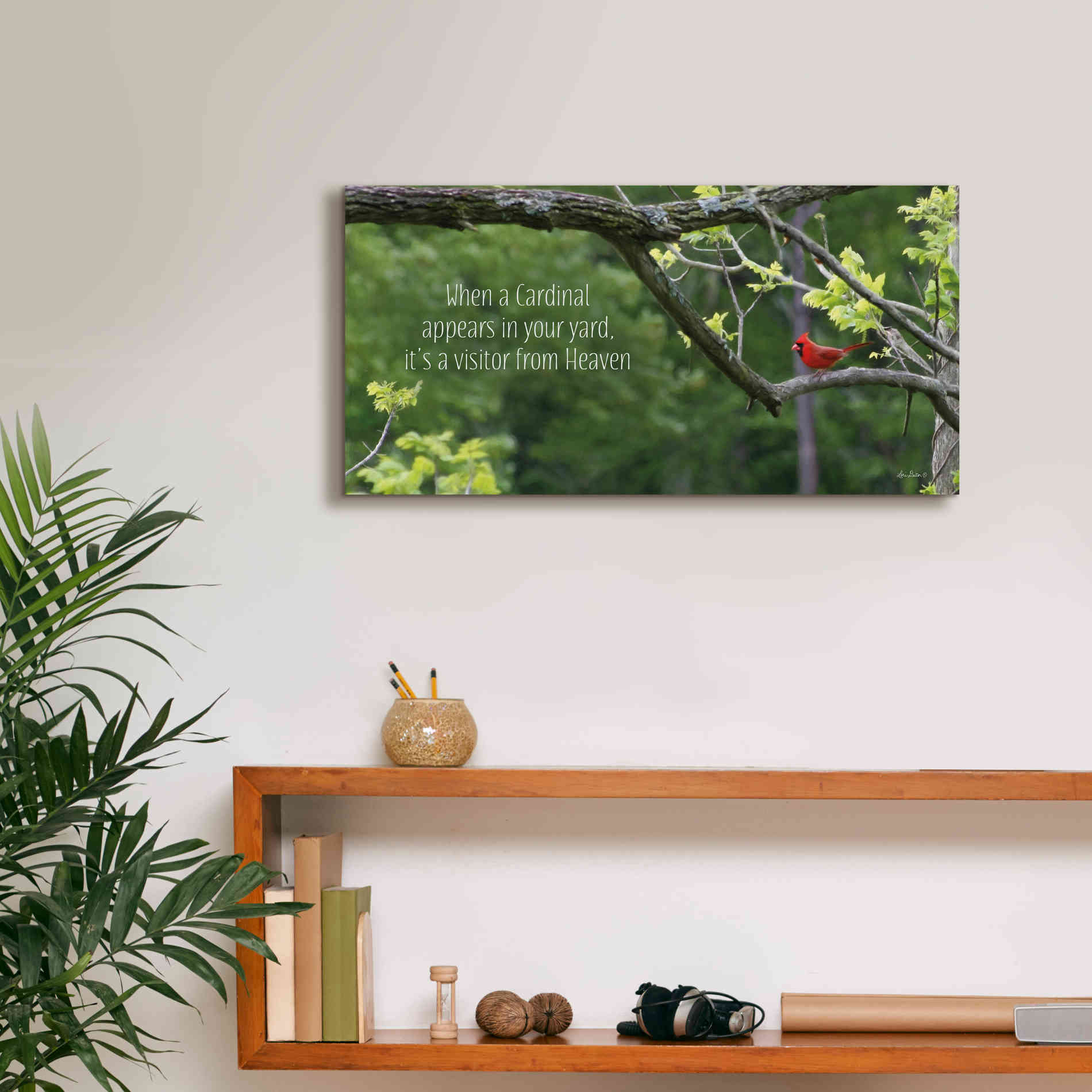 'Visitor from Heaven' by Lori Deiter, Canvas Wall Art,24 x 12