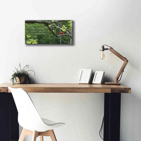 Image of 'Visitor from Heaven' by Lori Deiter, Canvas Wall Art,24 x 12