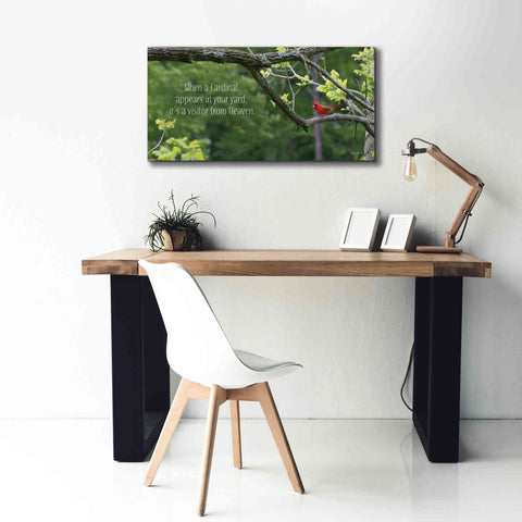 Image of 'Visitor from Heaven' by Lori Deiter, Canvas Wall Art,40 x 20