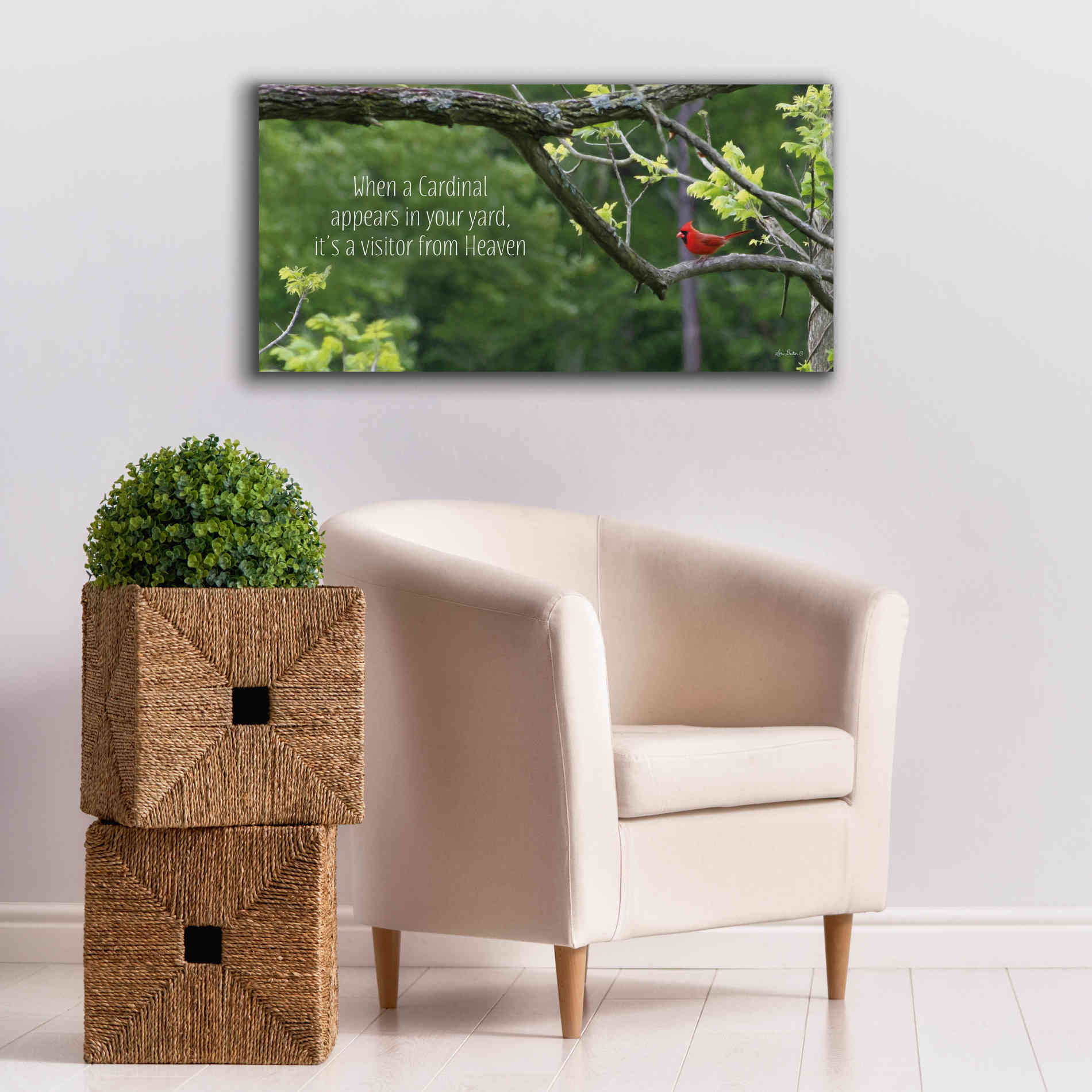 'Visitor from Heaven' by Lori Deiter, Canvas Wall Art,40 x 20