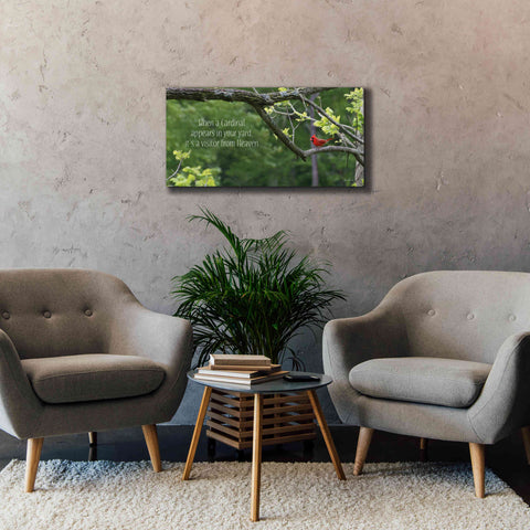 Image of 'Visitor from Heaven' by Lori Deiter, Canvas Wall Art,40 x 20