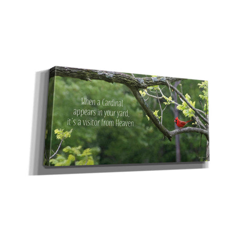 Image of 'Visitor from Heaven' by Lori Deiter, Canvas Wall Art