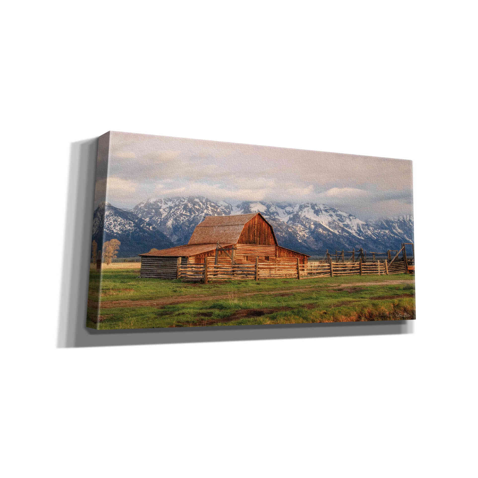 'Mormon Row II' by Lori Deiter, Canvas Wall Art