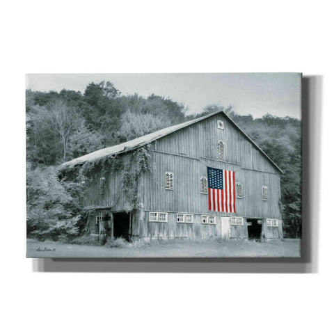 Image of 'Patriotic Farm II' by Lori Deiter Canvas Wall Art