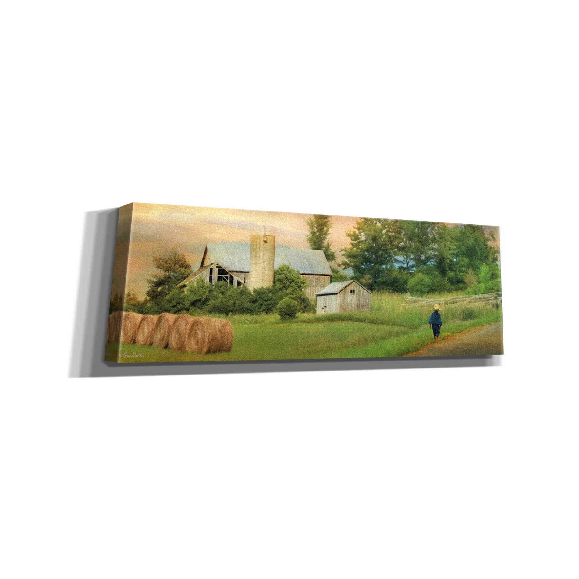 'Amish Barefoot Farmer' by Lori Deiter Canvas Wall Art