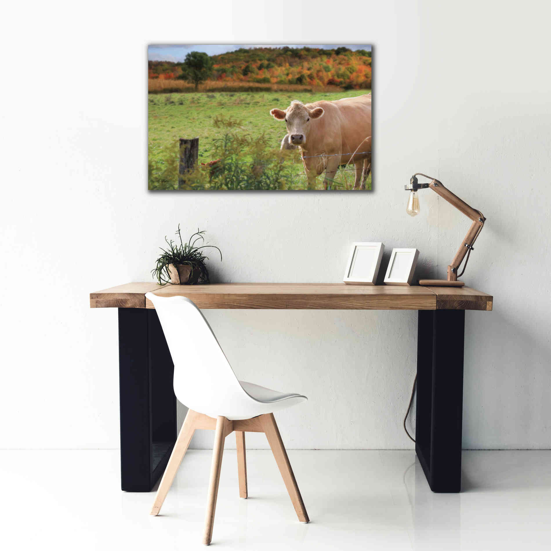 'Fall Cow' by Lori Deiter Canvas Wall Art,40 x 26