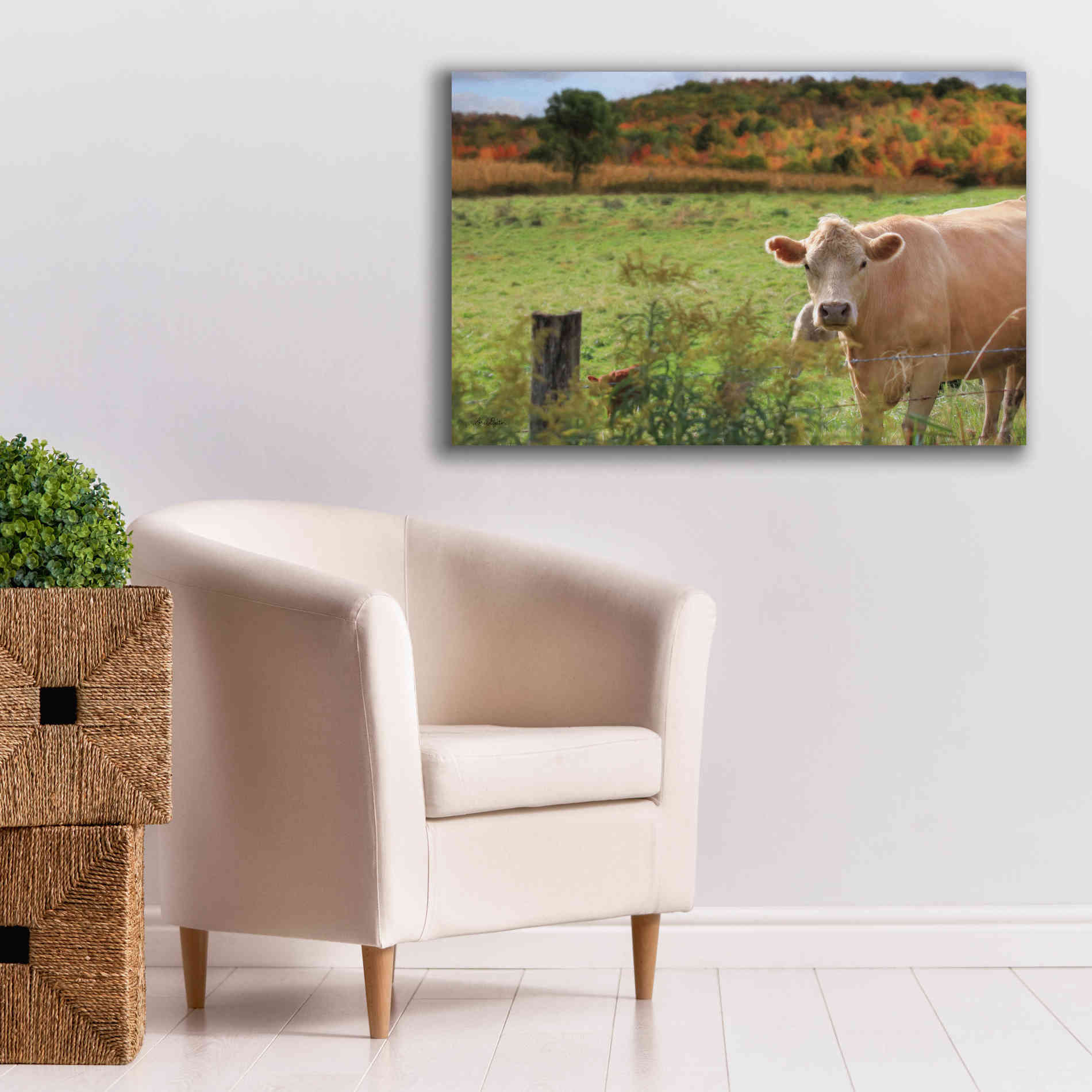 'Fall Cow' by Lori Deiter Canvas Wall Art,40 x 26