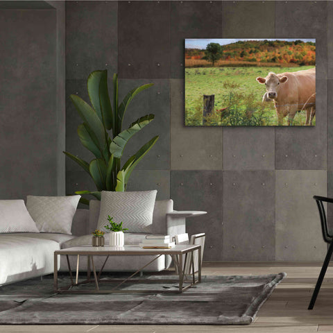 Image of 'Fall Cow' by Lori Deiter Canvas Wall Art,60 x 40