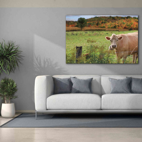 Image of 'Fall Cow' by Lori Deiter Canvas Wall Art,60 x 40