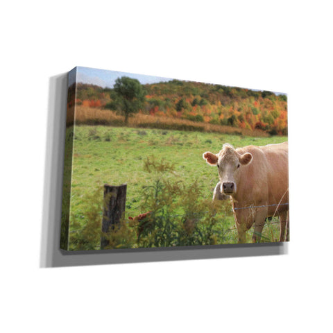 Image of 'Fall Cow' by Lori Deiter Canvas Wall Art