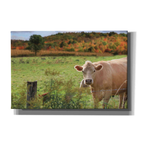 Image of 'Fall Cow' by Lori Deiter Canvas Wall Art