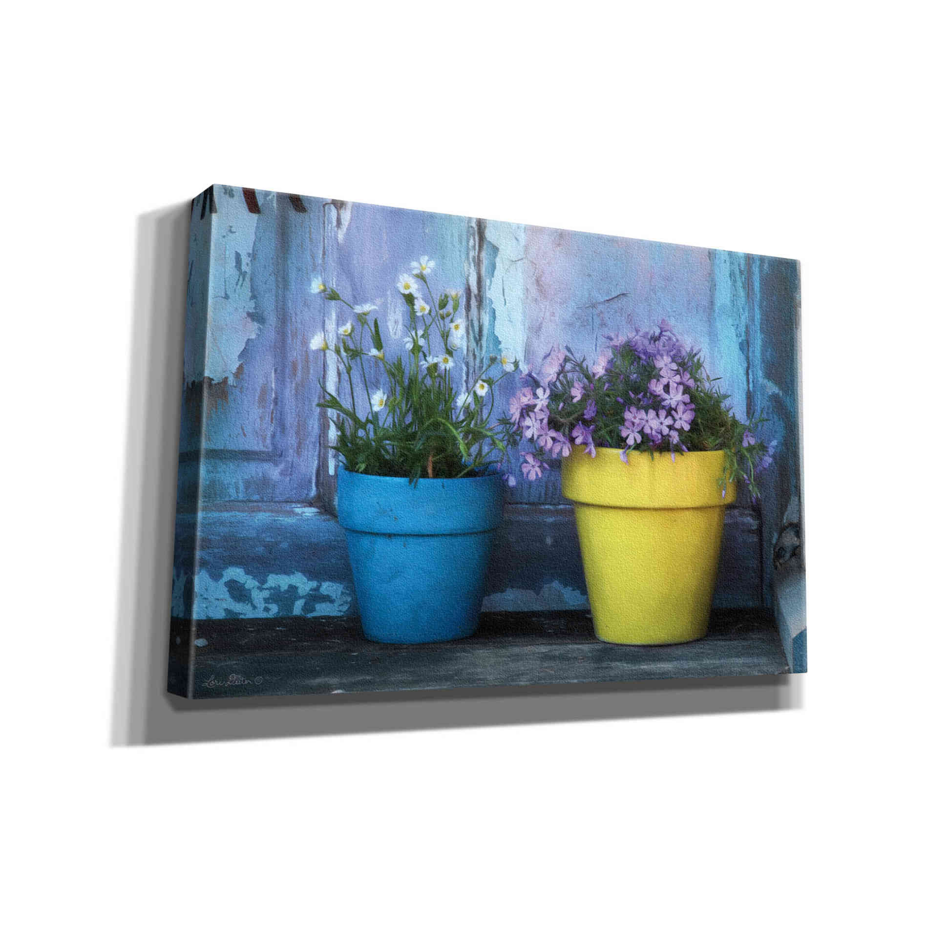 'She Shed Flowers' by Lori Deiter Canvas Wall Art