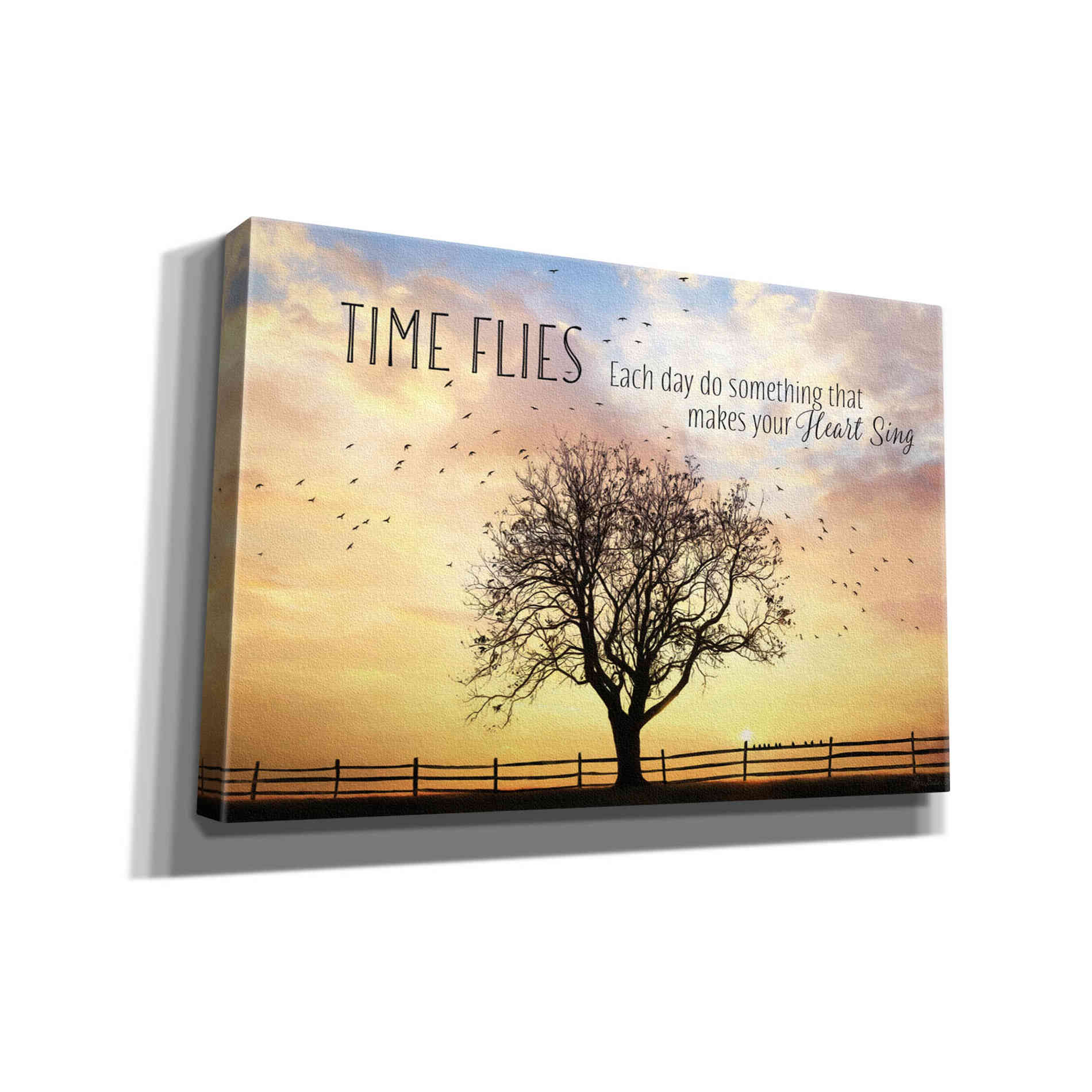 'Time Flies' by Lori Deiter Canvas Wall Art