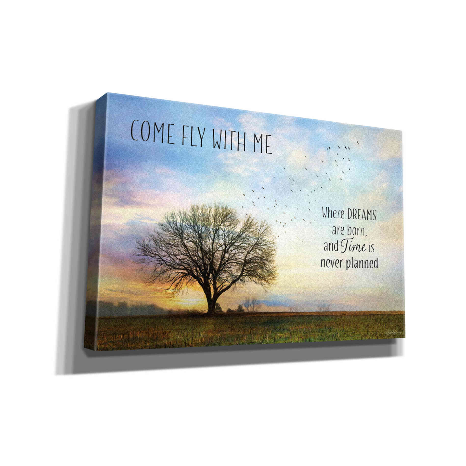 'Come Fly with Me' by Lori Deiter Canvas Wall Art