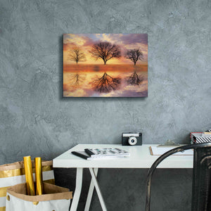 'Trio of Trees' by Lori Deiter Canvas Wall Art,16 x 12