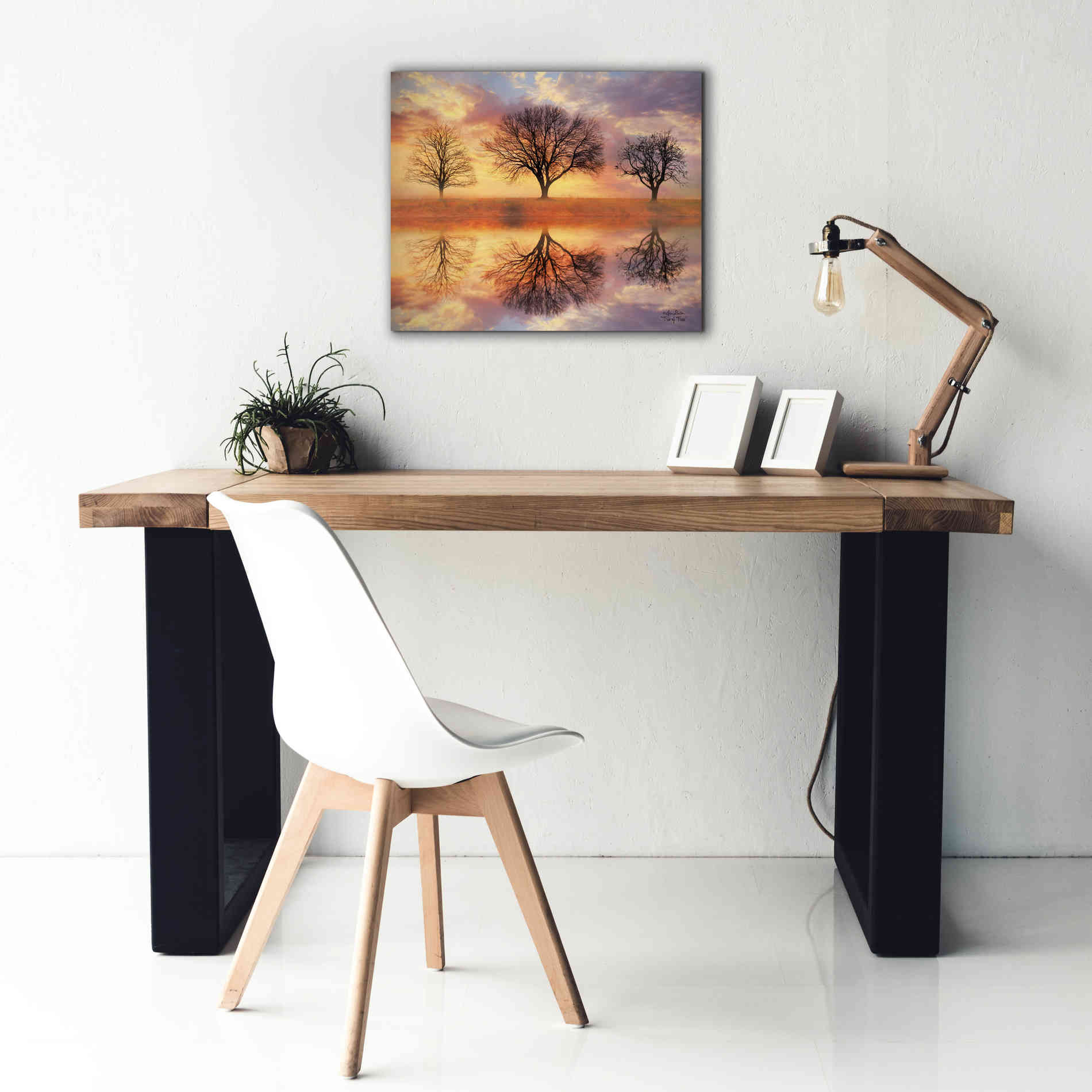 'Trio of Trees' by Lori Deiter Canvas Wall Art,24 x 20